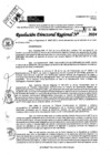 Vista preliminar de documento RDR 9019-2024