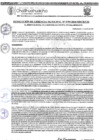 Vista preliminar de documento RGM-795-2024