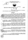 Vista preliminar de documento RDR 9021-2024