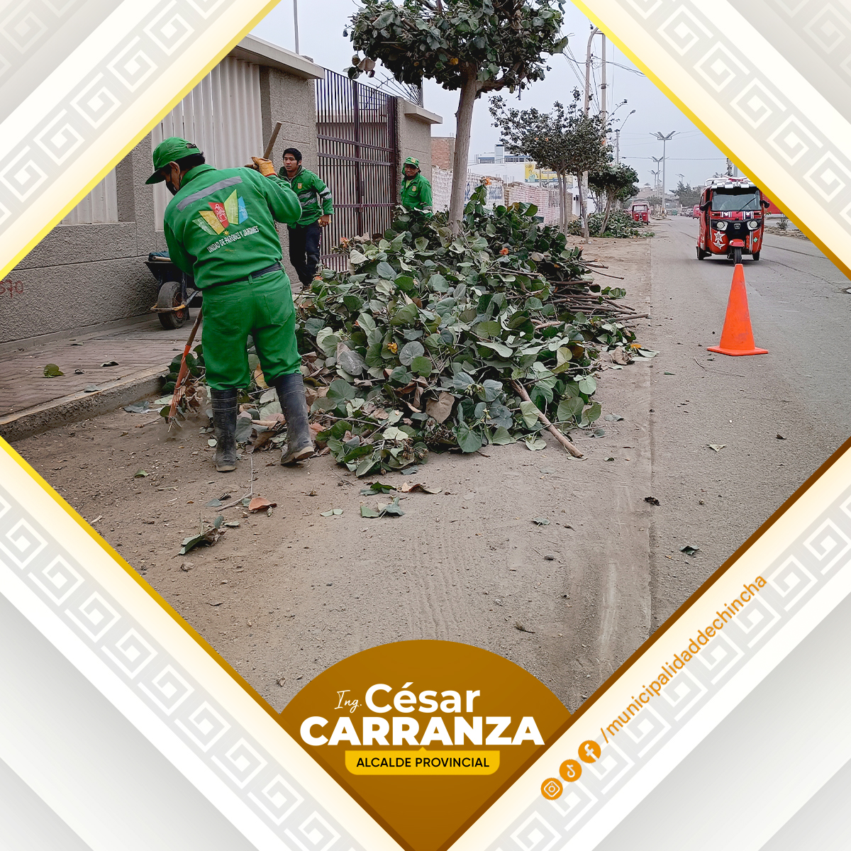 🔰¡Seguimos mejorando nuestras áreas verdes!. El día de hoy el personal de parques y jardines, vienen realizando el mantenimiento de áreas verdes en calle San Carlos, con la finalidad de dar espacios limpios y saludables para el disfrute de todo los vecinos.