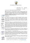 Vista preliminar de documento Resolución de Alcaldía N.° 155-2024-RASS