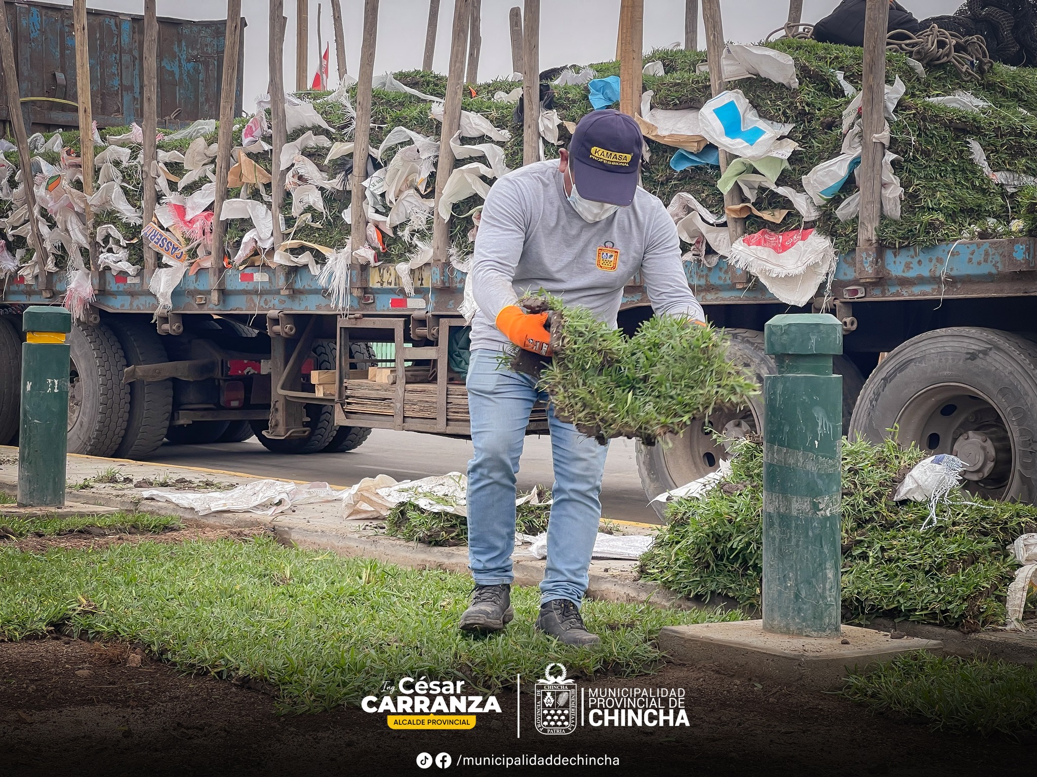 #Compromiso l El día de hoy, el personal del municipio de Chincha intervino el sector de San Agustìn, con una importante jornada de limpieza, recuperación de áreas verdes y pintado de veredas.
Fueron los propios trabajadores de las diferentes áreas de la MPCH que se sumaron a este trabajo de manera voluntaria, reafirmando el compromiso de tener una ciudad ordenada y limpia. El alcalde de Chincha, Ing. César Carranza Falla, agradeció la iniciativa de todos los trabajadores municipales y exhortó a la población a cuidar los espacios públicos y contribuir a la mejora de la ciudad.