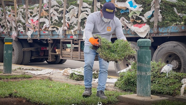 #Compromiso l El día de hoy, el personal del municipio de Chincha intervino el sector de San Agustìn, con una importante jornada de limpieza, recuperación de áreas verdes y pintado de veredas.
Fueron los propios trabajadores de las diferentes áreas de la MPCH que se sumaron a este trabajo de manera voluntaria, reafirmando el compromiso de tener una ciudad ordenada y limpia. El alcalde de Chincha, Ing. César Carranza Falla, agradeció la iniciativa de todos los trabajadores municipales y exhortó a la población a cuidar los espacios públicos y contribuir a la mejora de la ciudad.