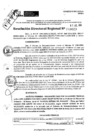 Vista preliminar de documento RDR 9029-2024