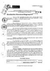Vista preliminar de documento RDR 9031-2024