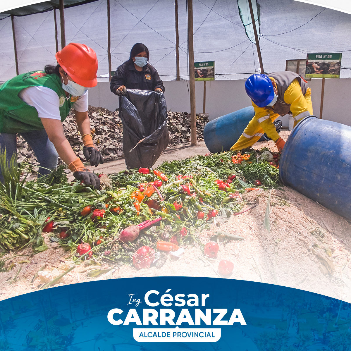 Ingenieros de la empresa San Fernando visitaron nuestra planta de compostaje para conocer el manejo eficiente de residuos orgánicos, con el objetivo de implementar prácticas sostenibles en sus operaciones. Durante la visita, se les explicó cómo los residuos orgánicos de distintos mercados son procesados en pilas de compostaje.
El proceso involucra la correcta segregación de materiales no orgánicos, seguido de la activación de las pilas, que requieren un control constante de temperatura y oxigenación para asegurar una descomposición adecuada. Después de varios meses de volteo periódico, se tamiza la composta para eliminar restos no descompuestos, obteniendo un producto final de alta calidad para el uso en áreas verdes.
