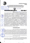 Vista preliminar de documento R.D 1876-2024