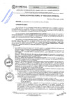 Vista preliminar de documento RES. REC. 1020-2024