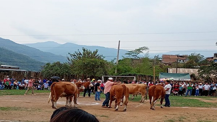 LONYA GRANDE 3