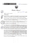 Vista preliminar de documento RD 209 DG 2024