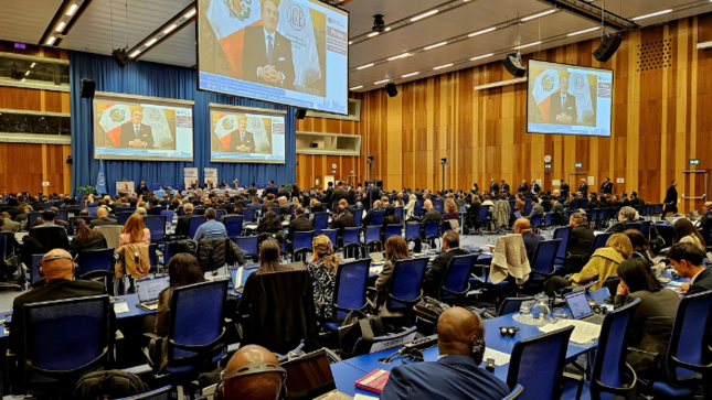 Convención de ONU contra delincuencia organizada transnacional: canciller Schialer informó sobre las acciones aplicadas por el Perú
