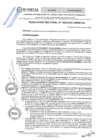 Vista preliminar de documento RES. REC. 1028-2024