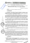 Vista preliminar de documento RES. REC. 1031-2024