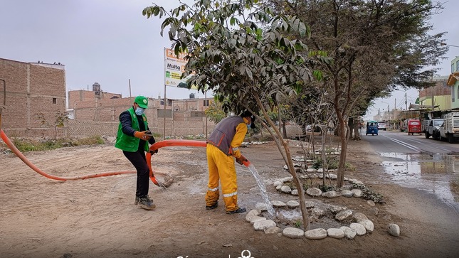 El equipo de maquinaria pesada, realizó la jornada de limpieza en la Av. arenales, por ello realizó el retiro de desechos sólidos que se encontraban a horillas del canal de ñoco, donde la junta de regantes, realizo la limpieza del cauce, dejando los montículos a orillas del canal, que fueron utilizados por malos vecinos para arrojar sus desperdicios, provocando un punto crítico en la ciudad. 
Esta importante jornada se viene realizando con la finalidad de mejorar el ornato, por ello se le hace el llamado a los ciudadanos a cuidar los esfuerzos que viene realizando la entidad municipal por hacer de Chincha un entorno más agradable y saludable para todos los vecinos.
