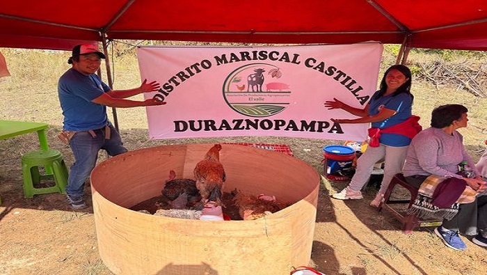 DURAZNOPAMPA 3