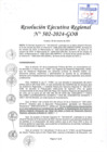 Vista preliminar de documento RER 502-2024-GOB
