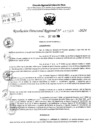 Vista preliminar de documento RDR 10164-2024