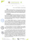 Vista preliminar de documento RESOLUCIÓN DE GERENCIA N° 0206