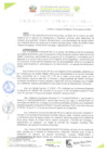 Vista preliminar de documento RESOLUCIÓN DE GERENCIA N° 0210