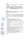 Vista preliminar de documento DIRECTIVA_009_2024
