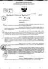 Vista preliminar de documento RDR 9081-2024
