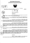 Vista preliminar de documento RDR 9082-2024