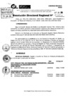 Vista preliminar de documento RDR 9088-2024