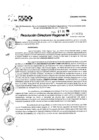Vista preliminar de documento RDR 9089-2024