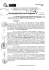 Vista preliminar de documento RDR 9094-2024
