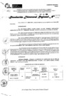 Vista preliminar de documento RDR 9097-2024