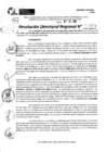 Vista preliminar de documento RDR 9098-2024