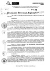 Vista preliminar de documento RDR 9099-2024