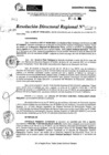Vista preliminar de documento RDR 9100-2024