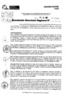 Vista preliminar de documento RDR 9104-2024