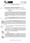 Vista preliminar de documento RDR 9106-2024