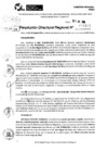 Vista preliminar de documento RDR 9107-2024