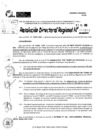 Vista preliminar de documento RDR 9109-2024
