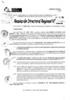 Vista preliminar de documento RDR 9110-2024