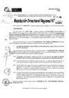 Vista preliminar de documento RDR 9113-2024