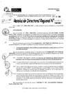 Vista preliminar de documento RDR 9115-2024