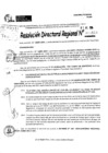 Vista preliminar de documento RDR 9116-2024