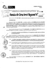 Vista preliminar de documento RDR 9117-2024