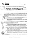 Vista preliminar de documento RDR 9118-2024