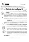 Vista preliminar de documento RDR 9121-2024