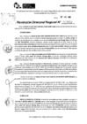 Vista preliminar de documento RDR 9123-2024