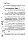 Vista preliminar de documento RDR 9125-2024