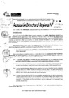 Vista preliminar de documento RDR 9129-2024