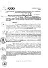 Vista preliminar de documento RDR 9131-2024