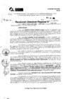 Vista preliminar de documento RDR 9135-2024