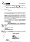Vista preliminar de documento RDR 9137-2024
